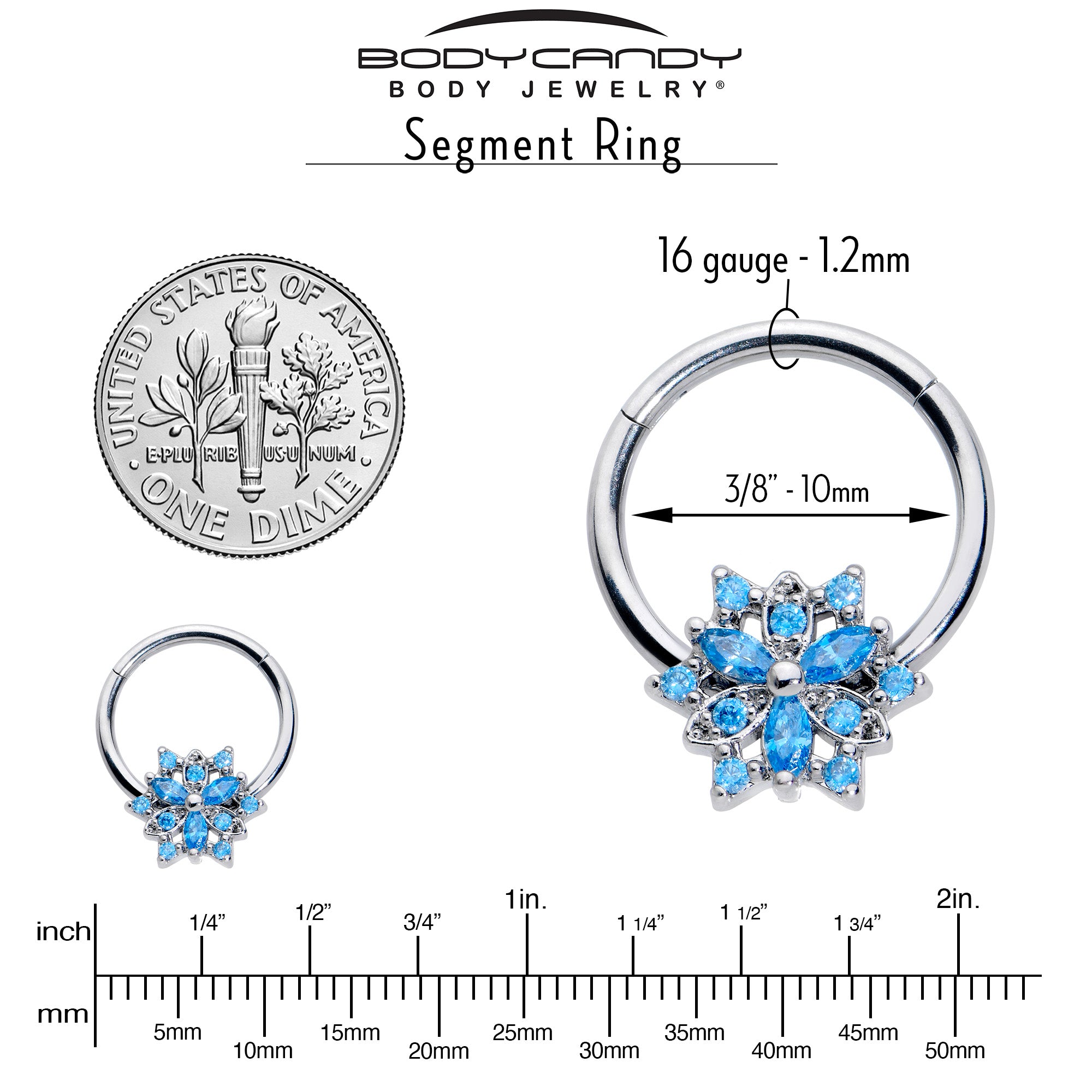 16 Gauge 3/8 Blue CZ Gem Snowflake Style Hinged Segment Ring