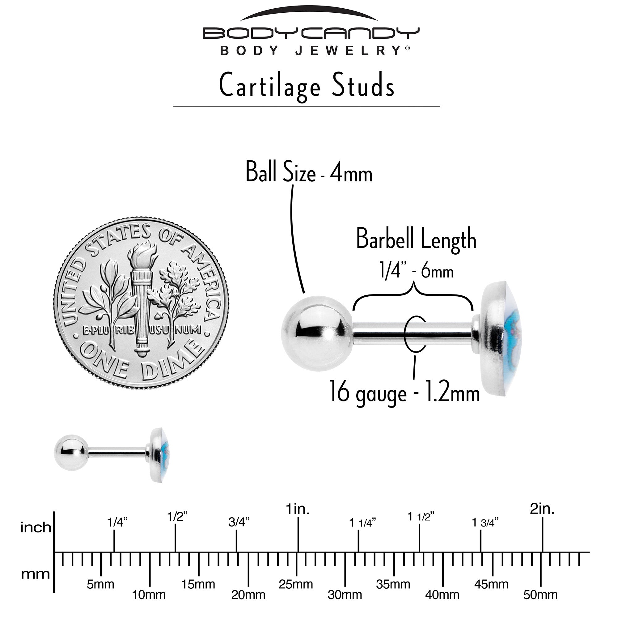 16 Gauge 1/4 Loving Blue Whales Cartilage Tragus Stud