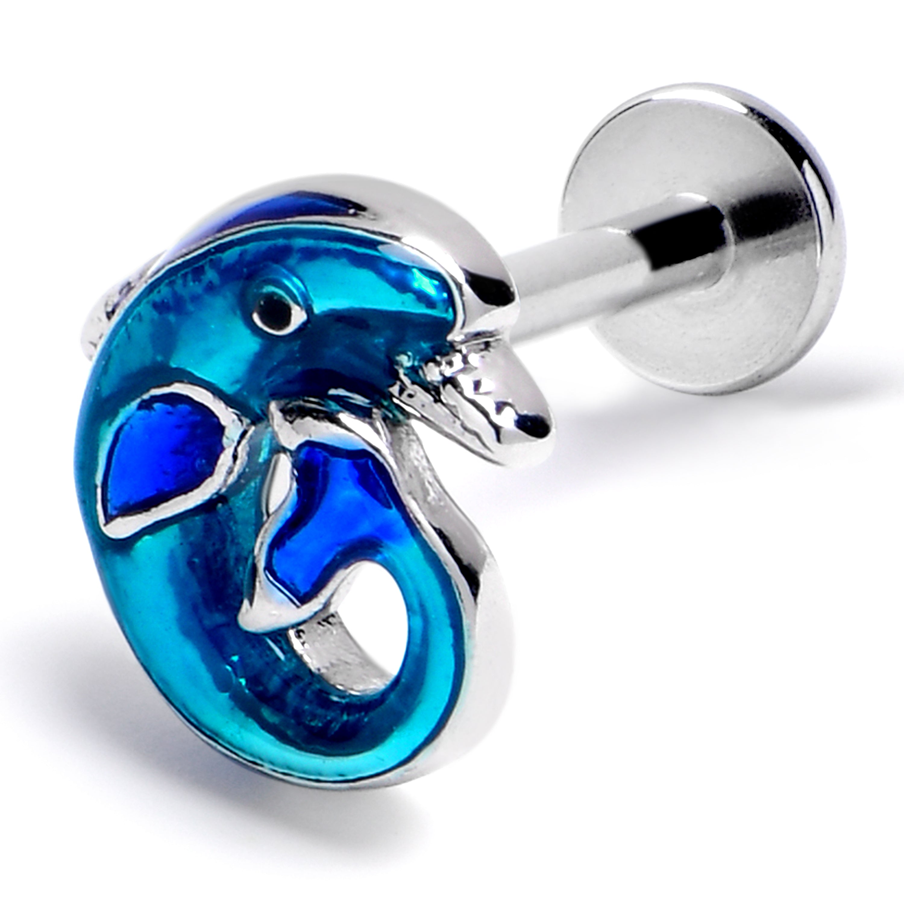 16 Gauge 5/16 Dolphin Blue Beauty Labret Monroe Tragus