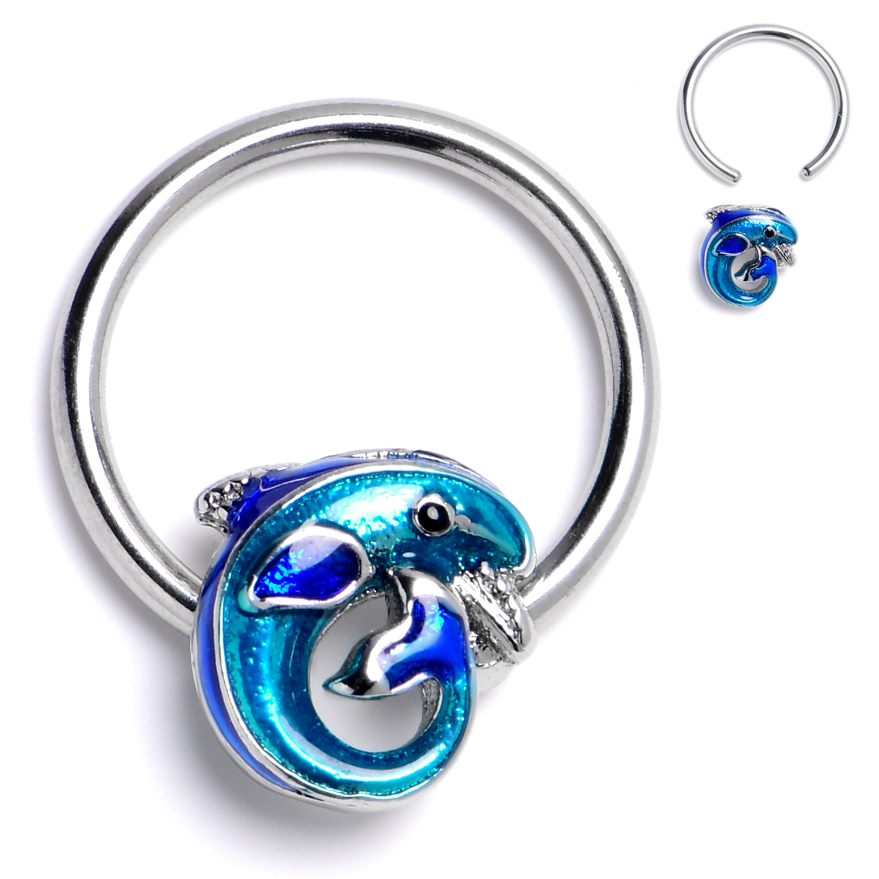 16 Gauge 3/8 Dolphin Blue Beauty BCR Captive Ring