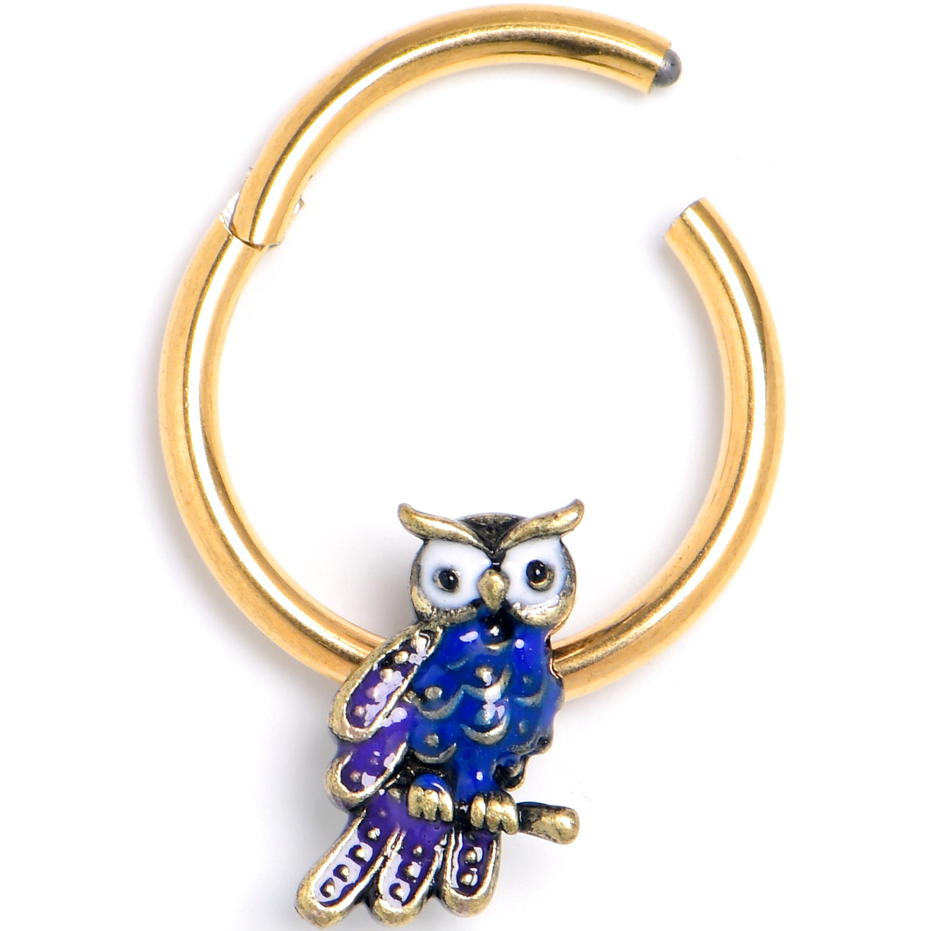 16 Gauge 3/8 Gold Tone Regal Owl Hinged Segment Ring