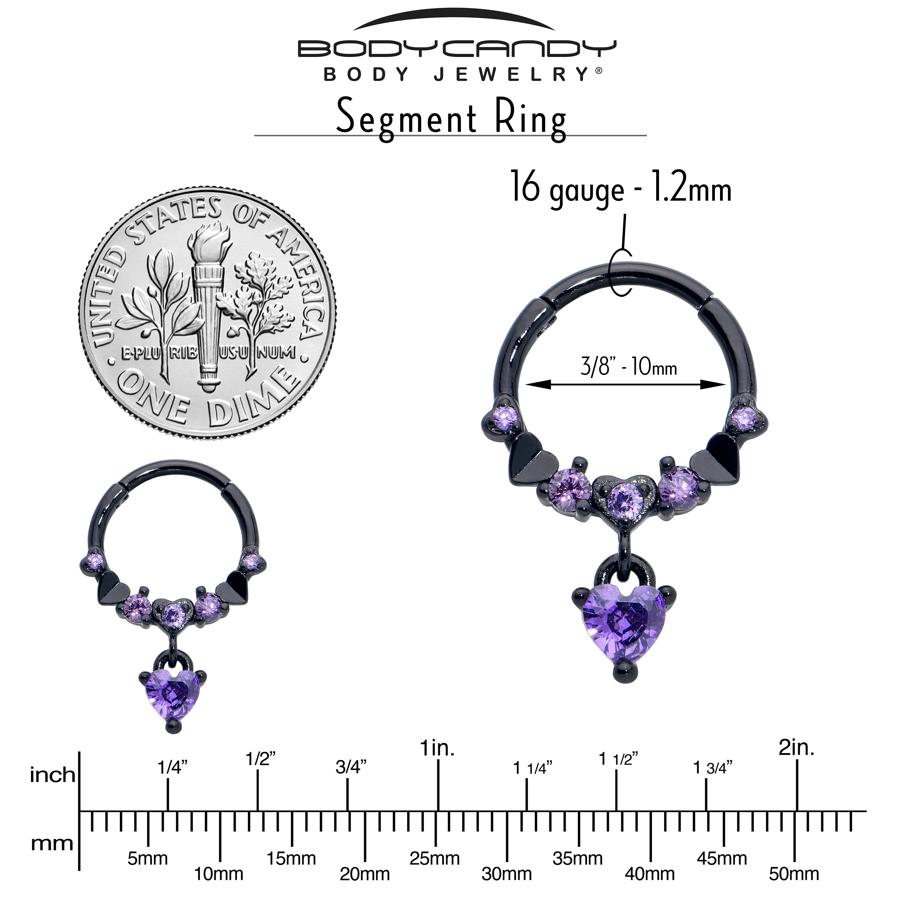 16 Gauge 3/8 Purple CZ Gem Black Love Heart Dangle Hinged Segment Ring