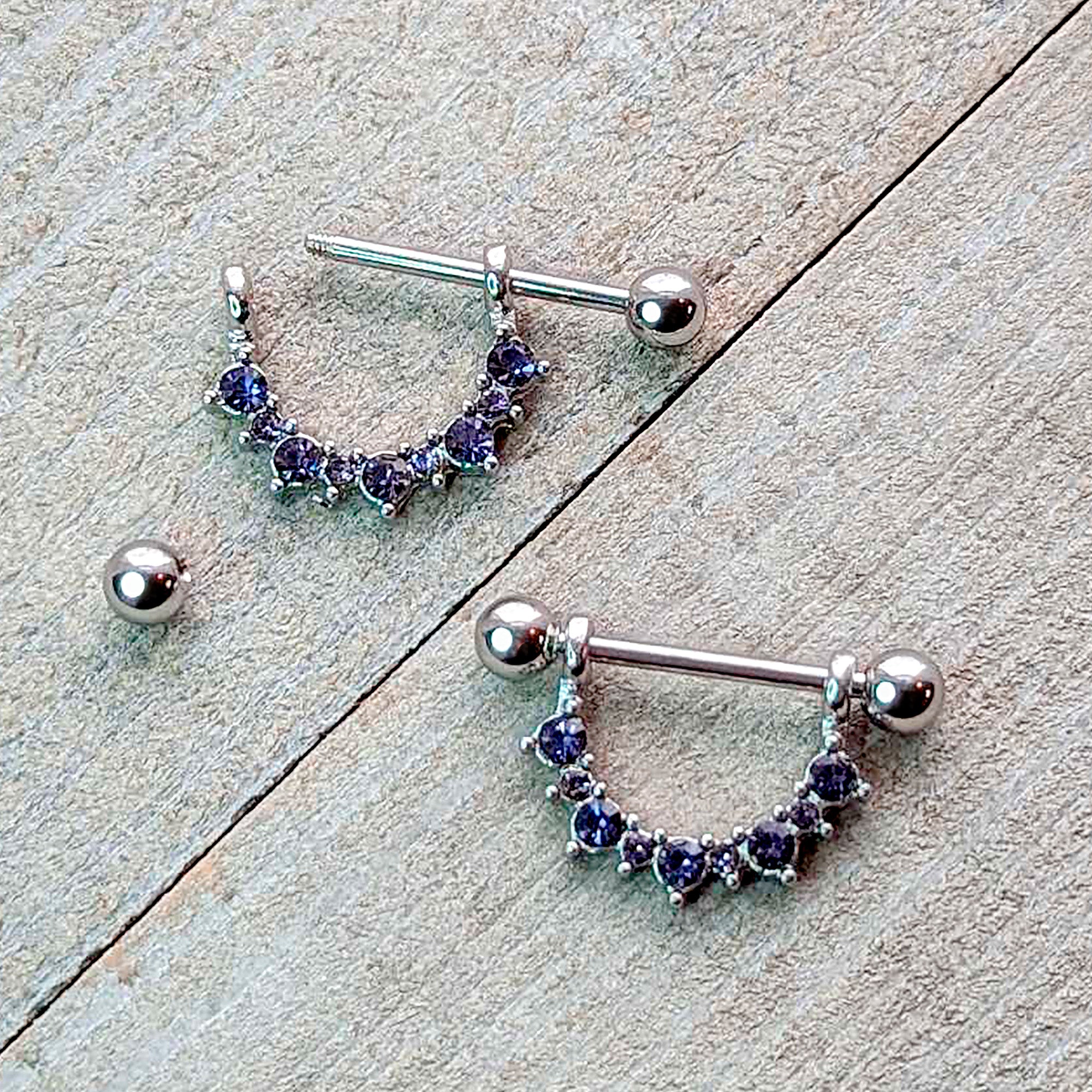 14 Gauge 9/16 Purple CZ Gem February Birthstone Dangle Nipple Shield Set