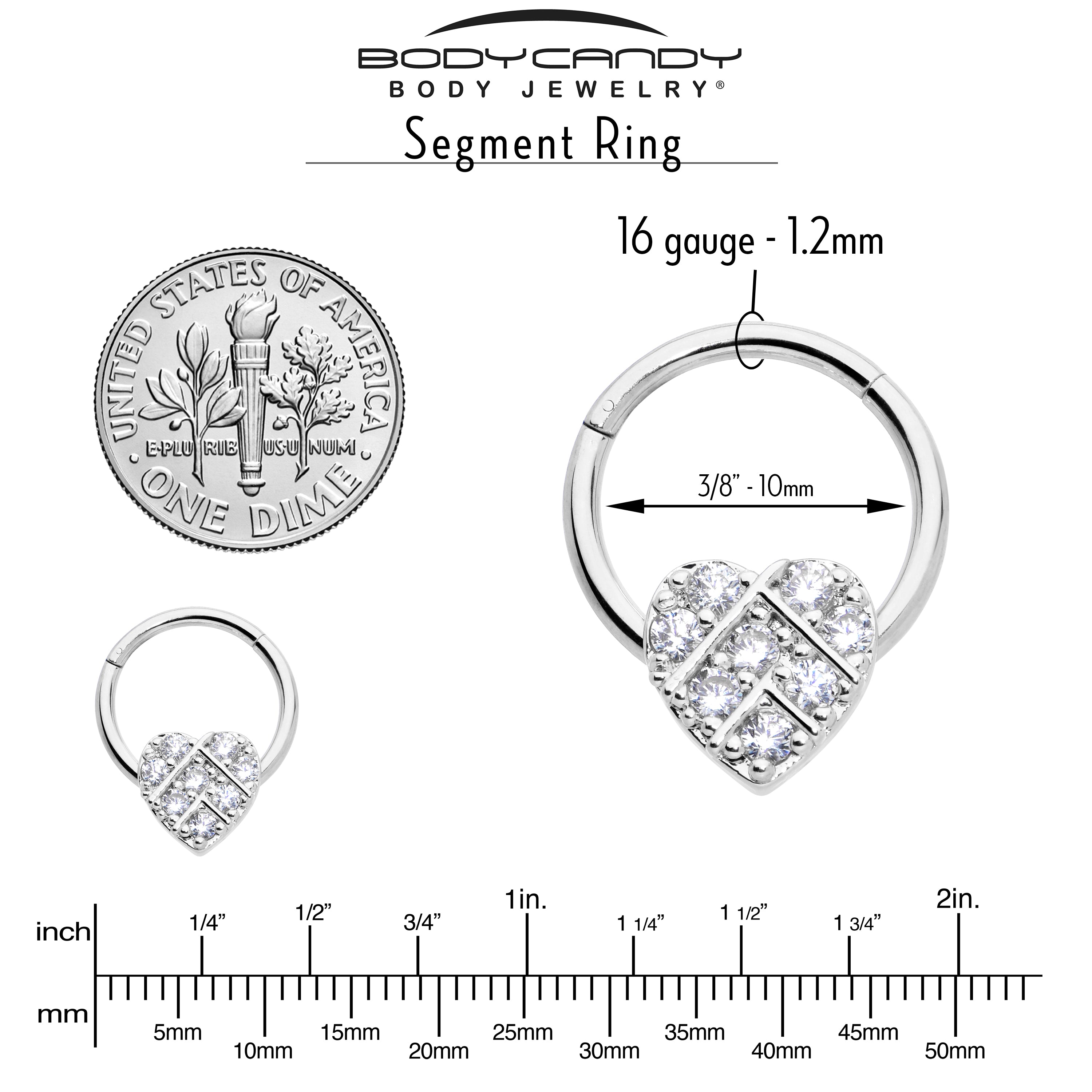 16 Gauge 3/8 Clear CZ Gem Lattice Heart Hinged Segment Ring