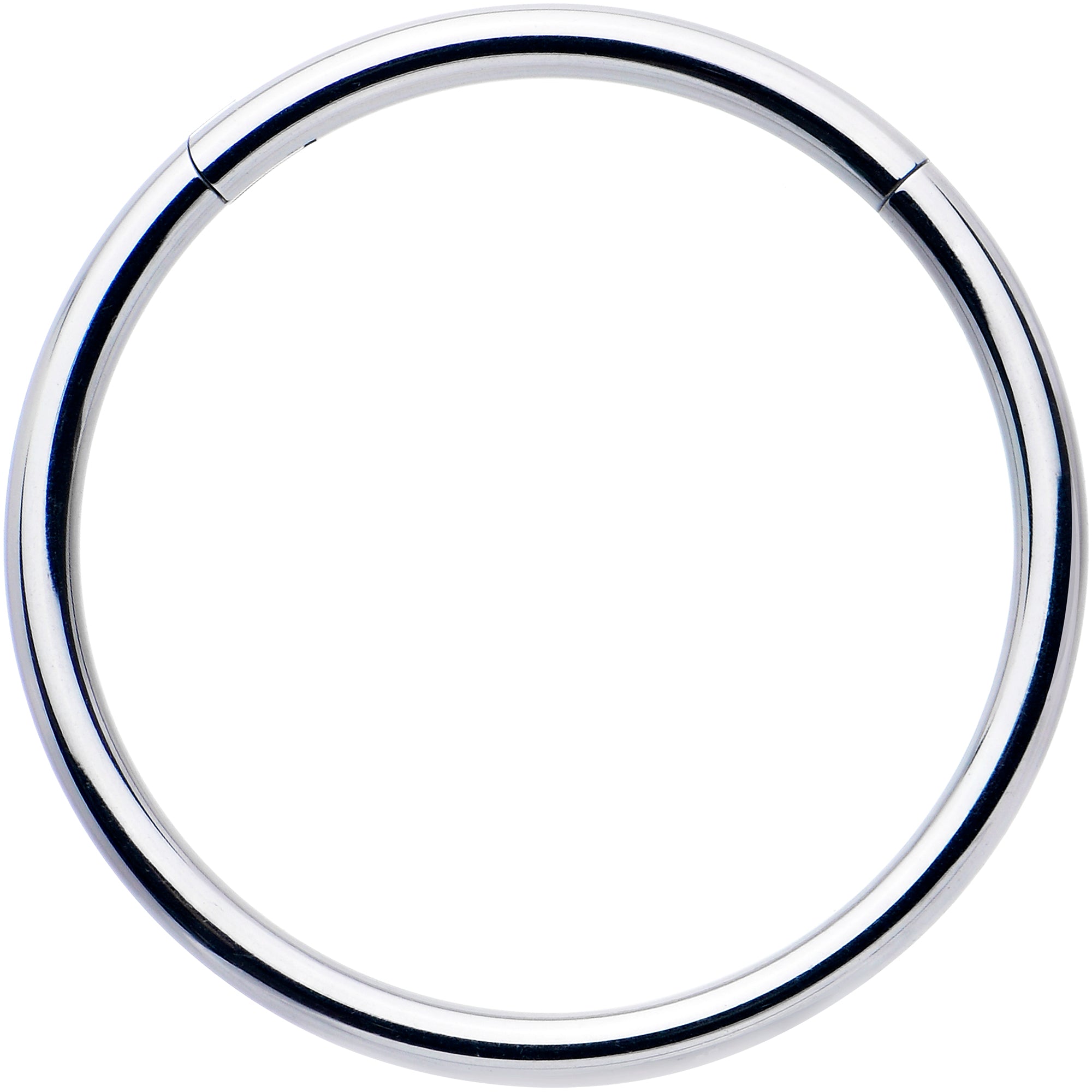 16 Gauge 9/16 316L Surgical Steel Precision Hinged Segment Hoop