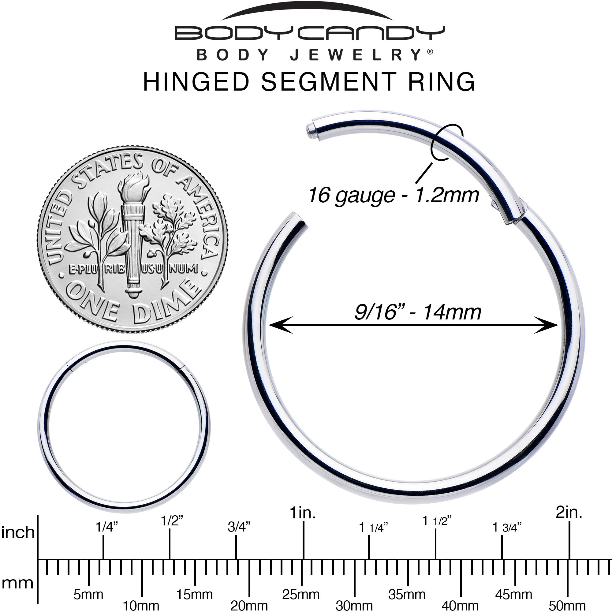 16 Gauge 9/16 316L Surgical Steel Precision Hinged Segment Hoop