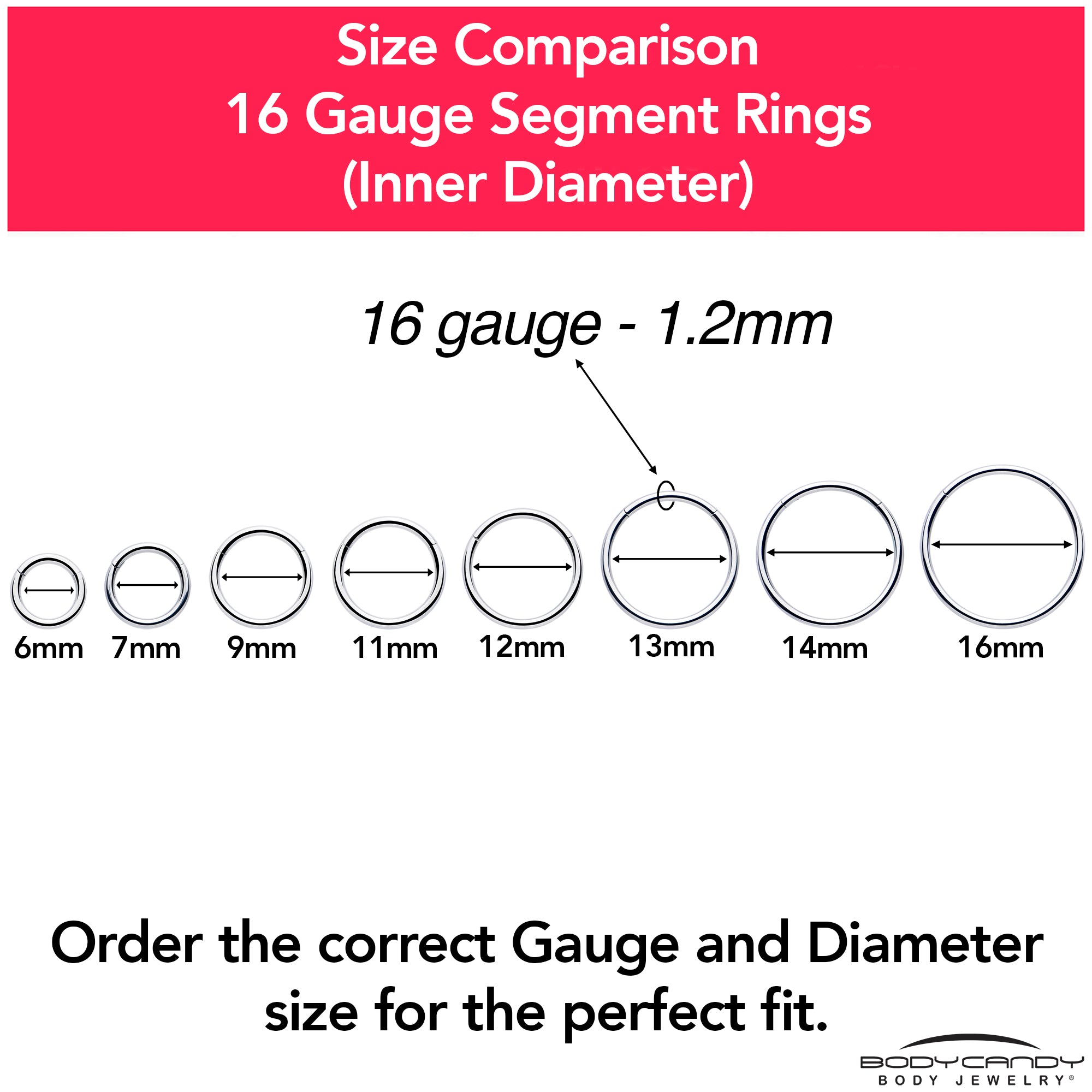 16 Gauge 9/16 316L Surgical Steel Precision Hinged Segment Hoop