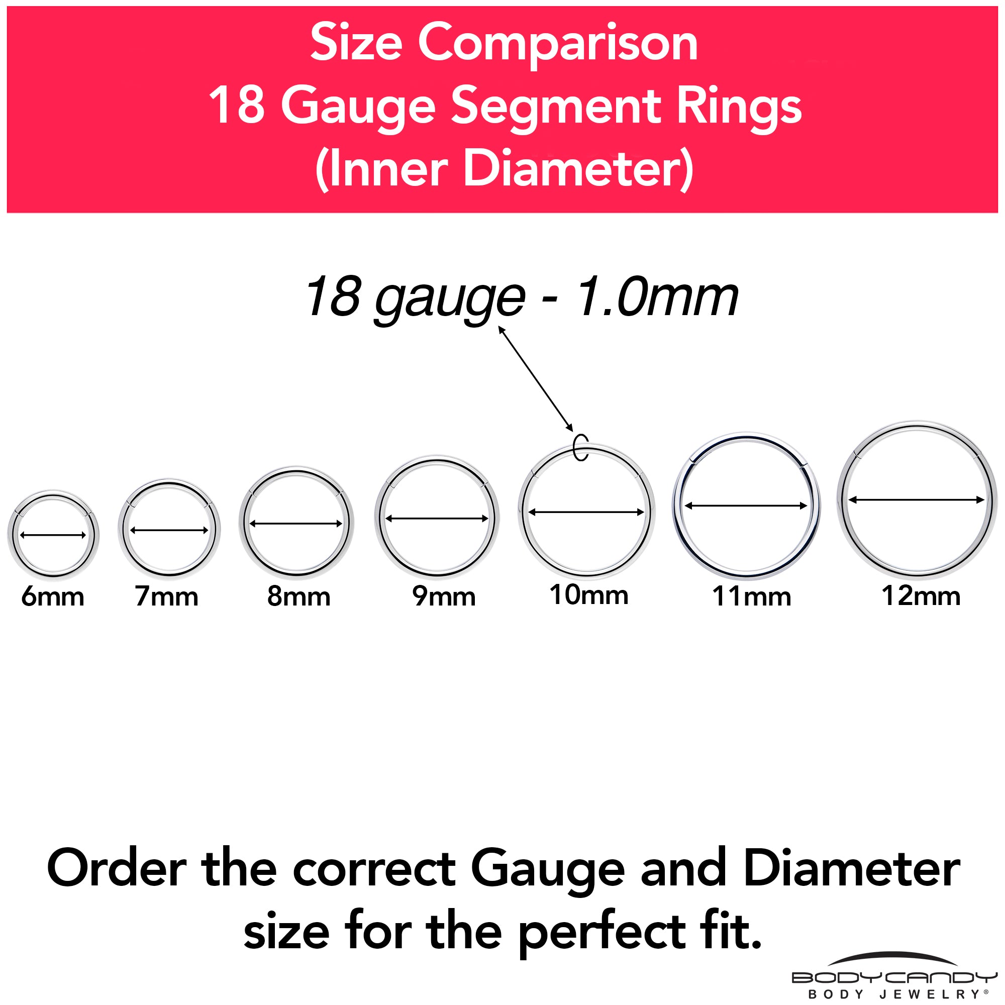 18 Gauge 7/16 316L Surgical Steel Precision Hinged Segment Hoop