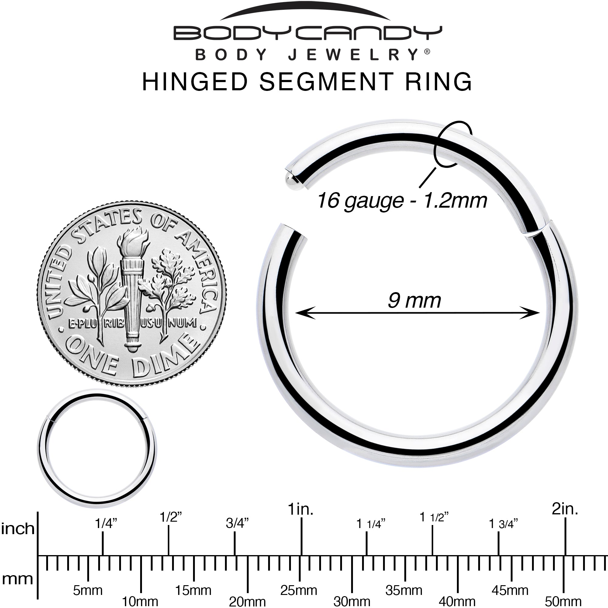 16 Gauge 9mm 316L Surgical Steel Precision Hinged Segment Hoop