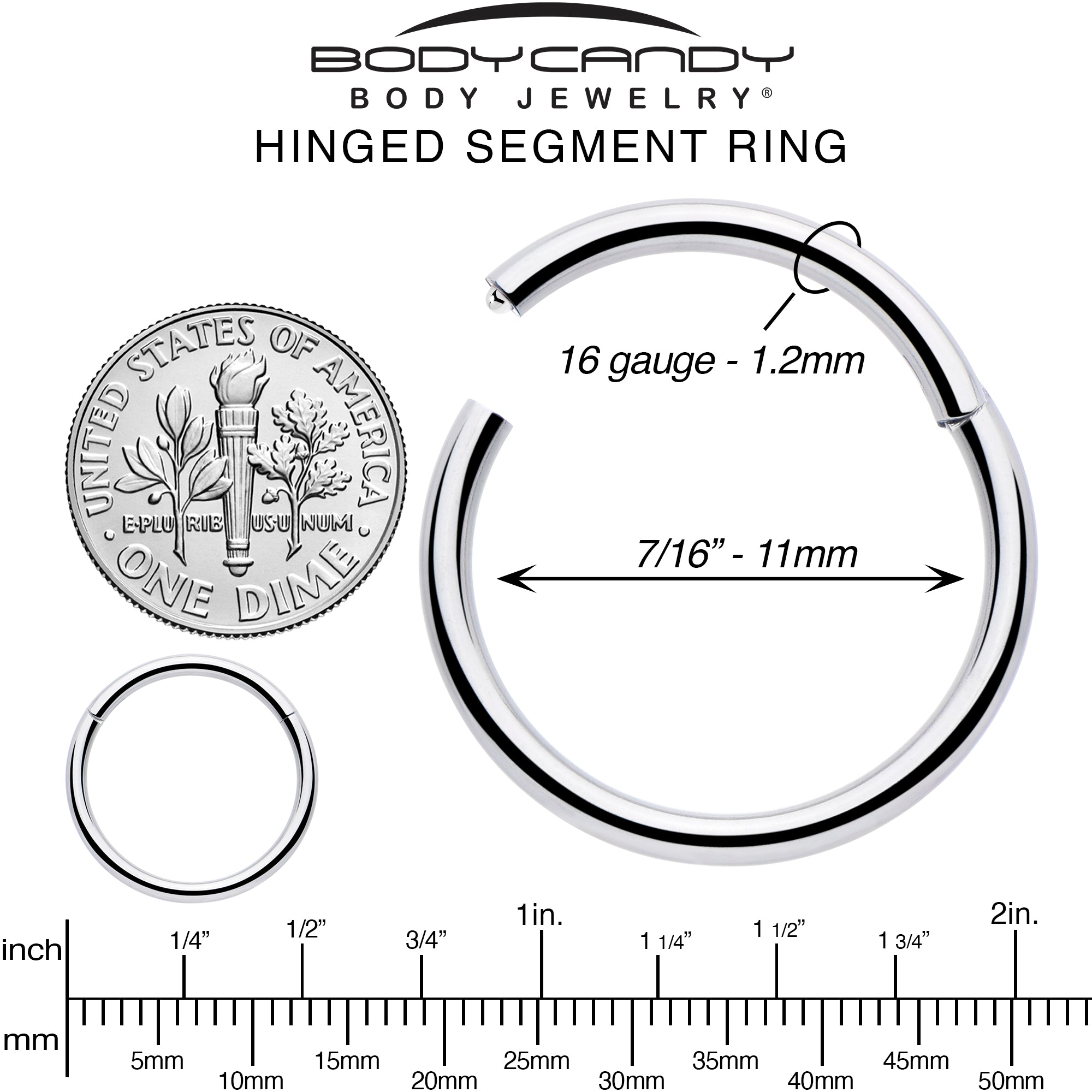 16 Gauge 7/16 316L Surgical Steel Precision Hinged Segment Hoop