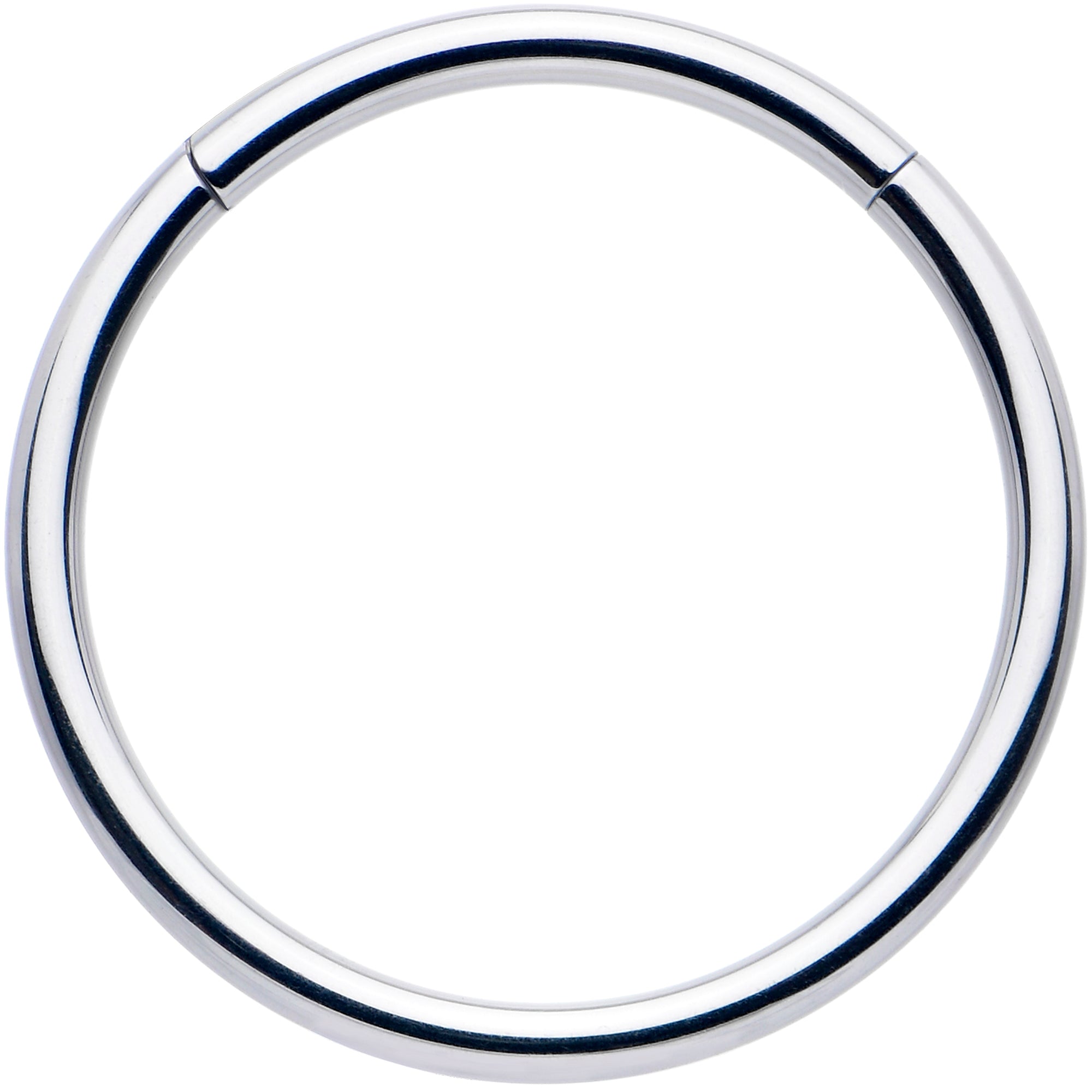 16 Gauge 13mm 316L Surgical Steel Precision Hinged Segment Hoop