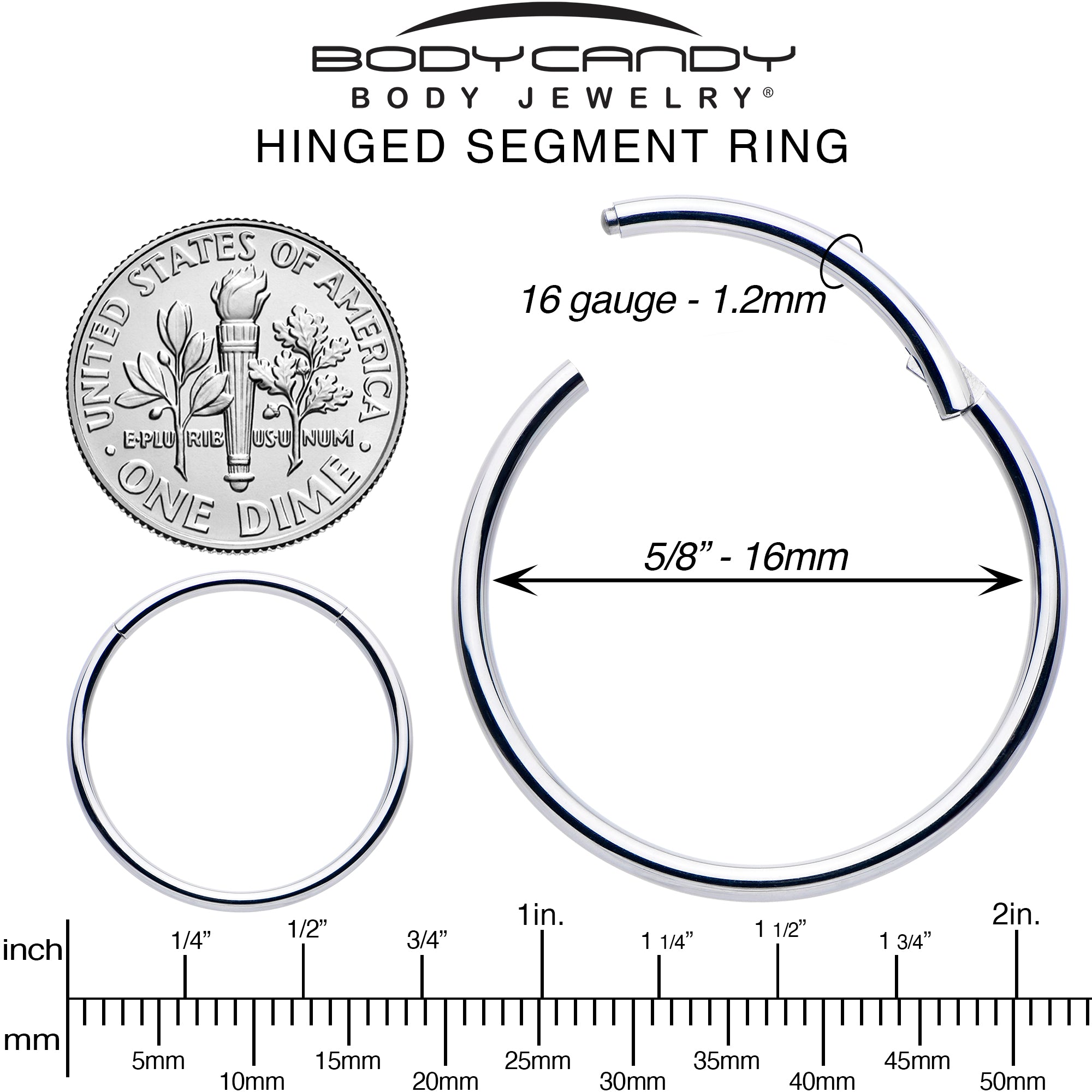 16 Gauge 5/8 316L Surgical Steel Precision Hinged Segment Hoop