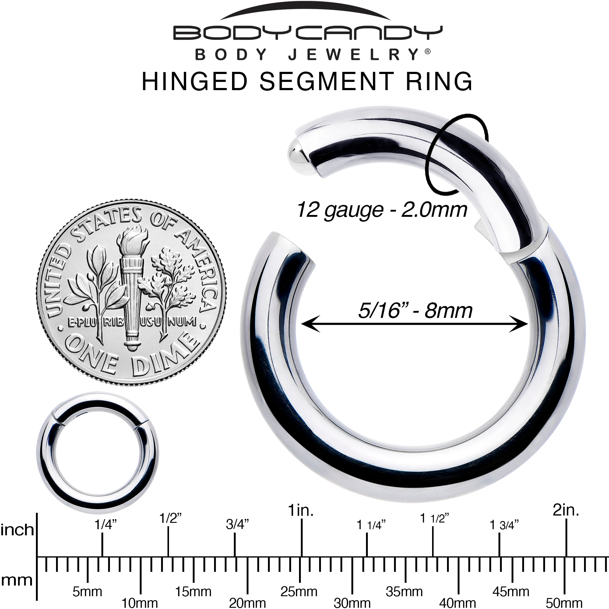 12 Gauge 5/16 316L Surgical Steel Precision Hinged Segment Hoop