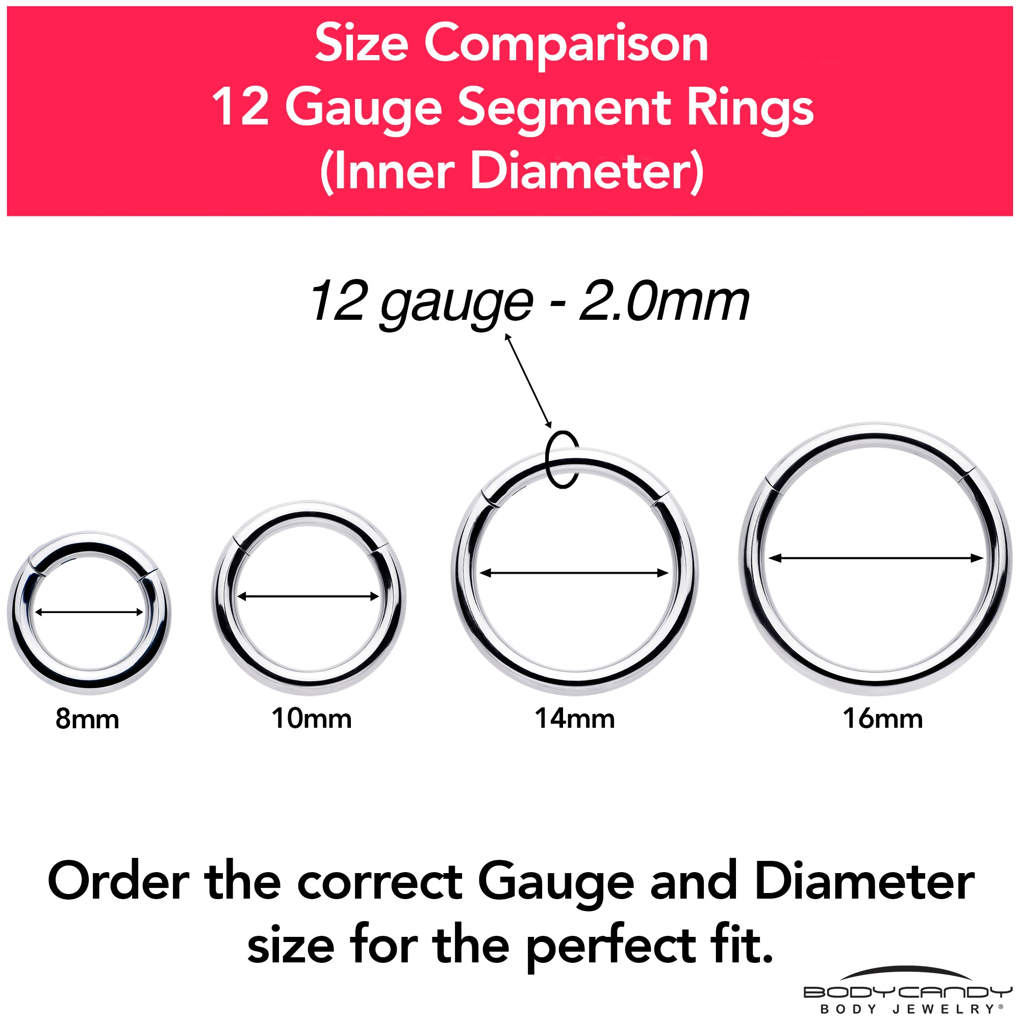 12 Gauge 5/16 316L Surgical Steel Precision Hinged Segment Hoop