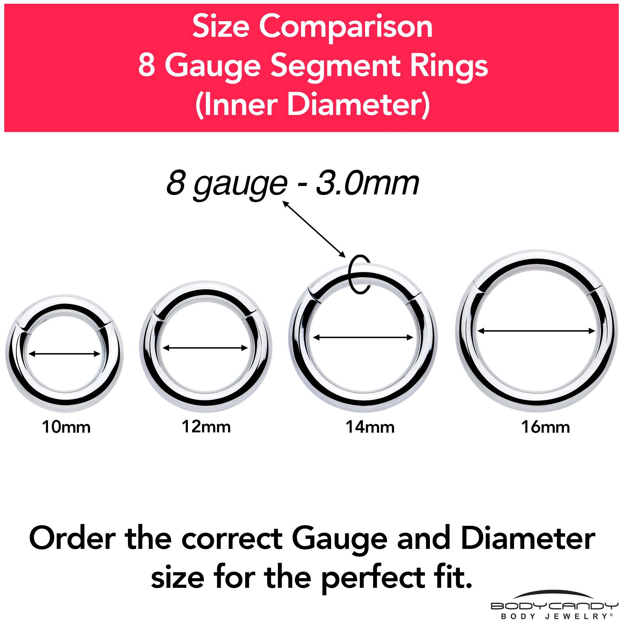 8 Gauge 1/2 316L Surgical Steel Precision Hinged Segment Hoop