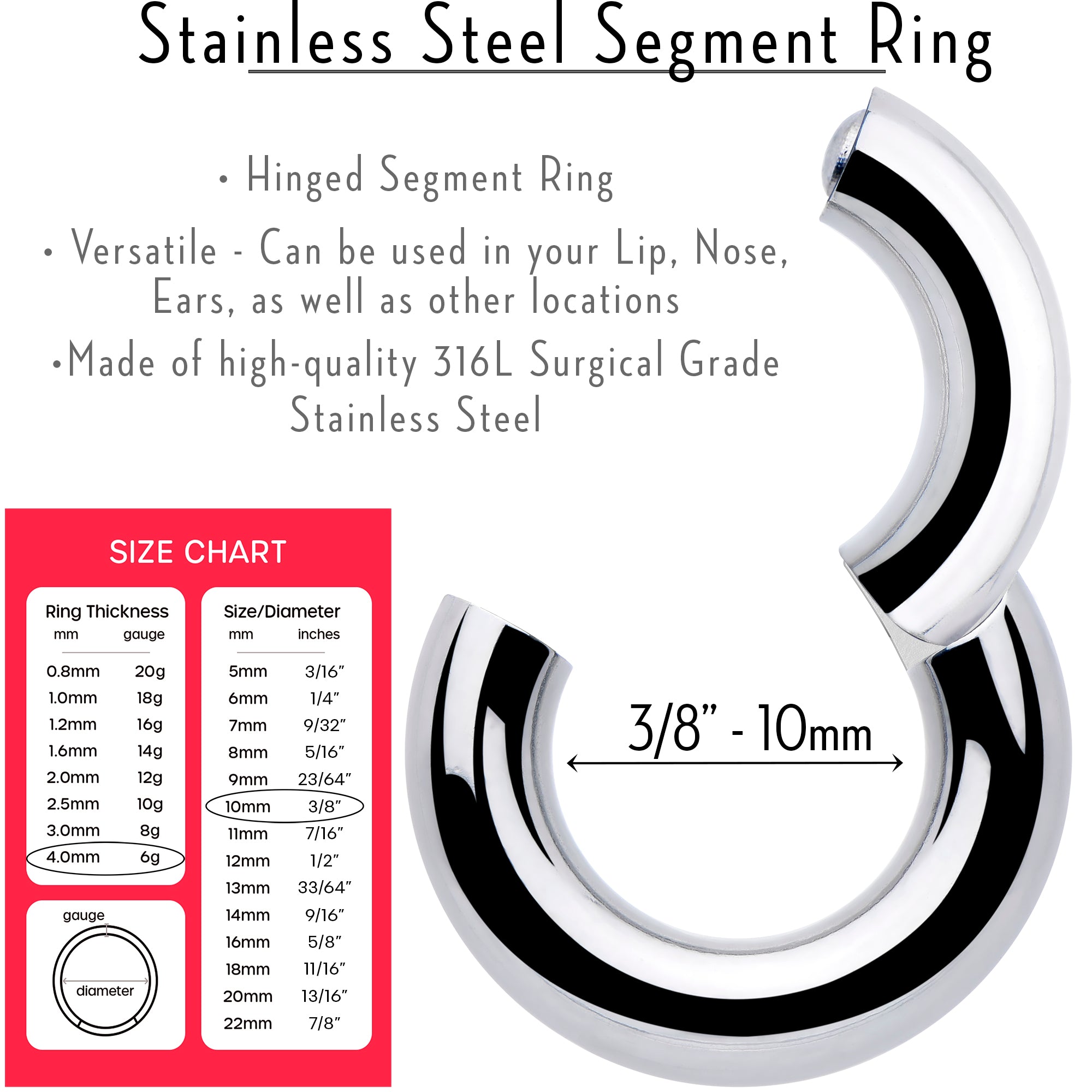 6 Gauge 3/8 316L Surgical Steel Precision Hinged Segment Hoop