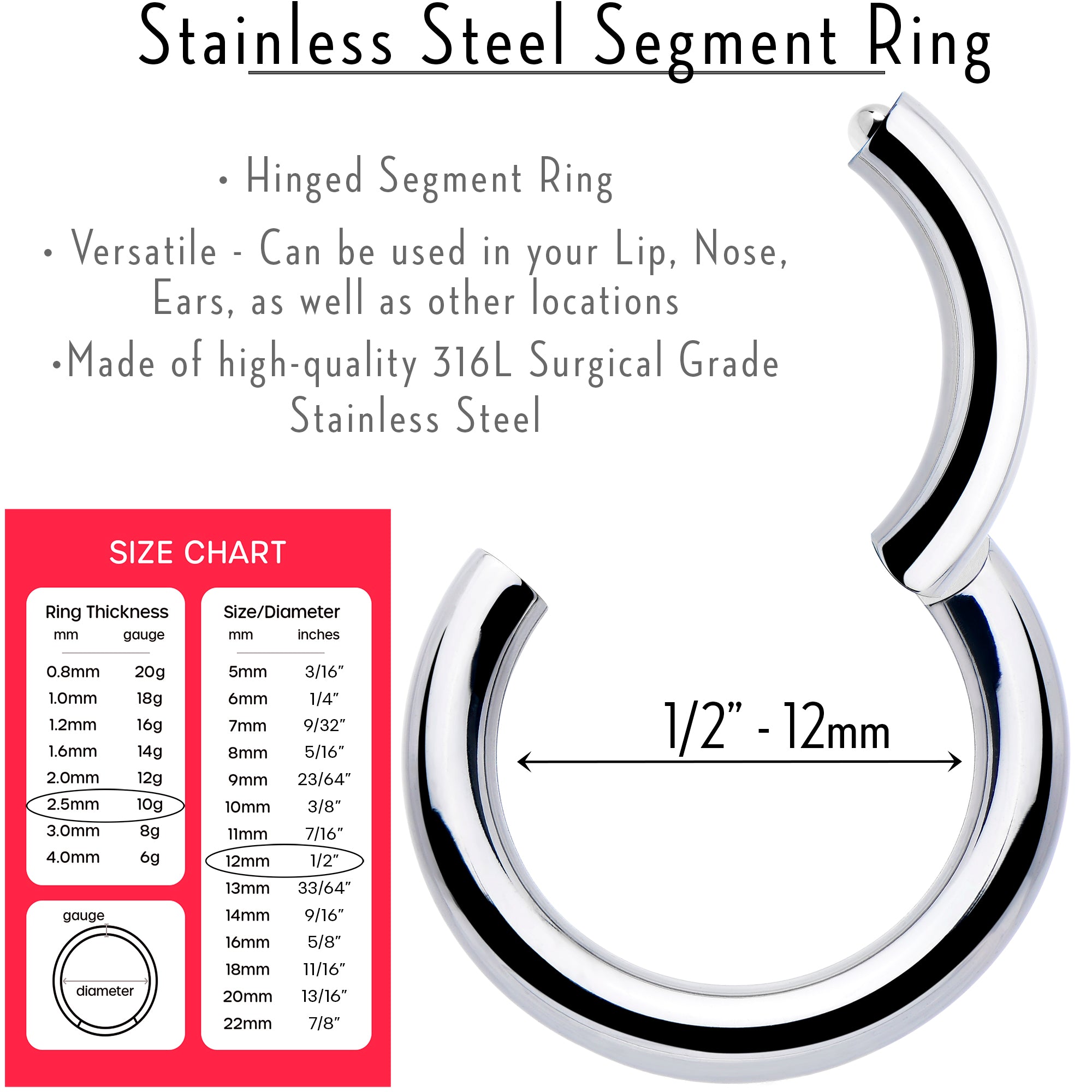 10 Gauge 1/2 316L Surgical Steel Precision Hinged Segment Hoop