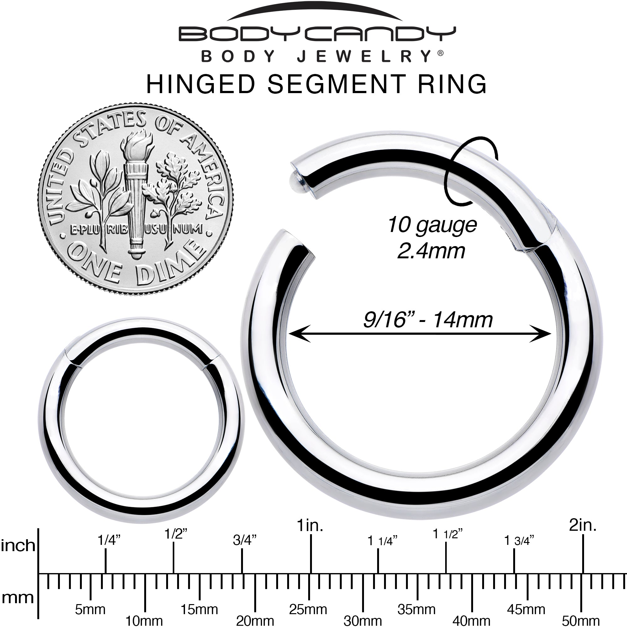 10 Gauge 9/16 316L Surgical Steel Precision Hinged Segment Hoop