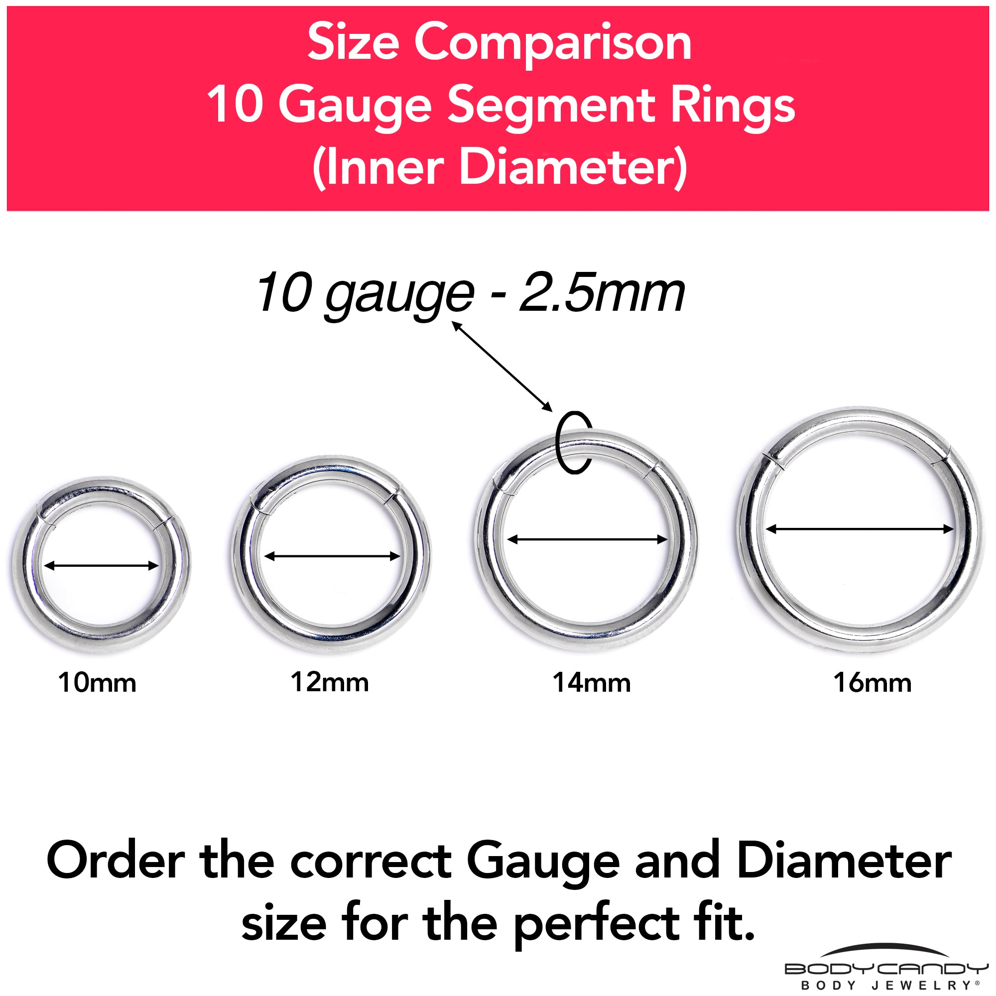 10 Gauge 9/16 316L Surgical Steel Precision Hinged Segment Hoop