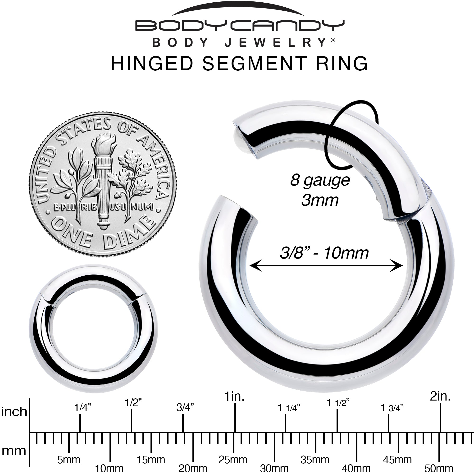 8 Gauge 3/8 316L Surgical Steel Precision Hinged Segment Hoop