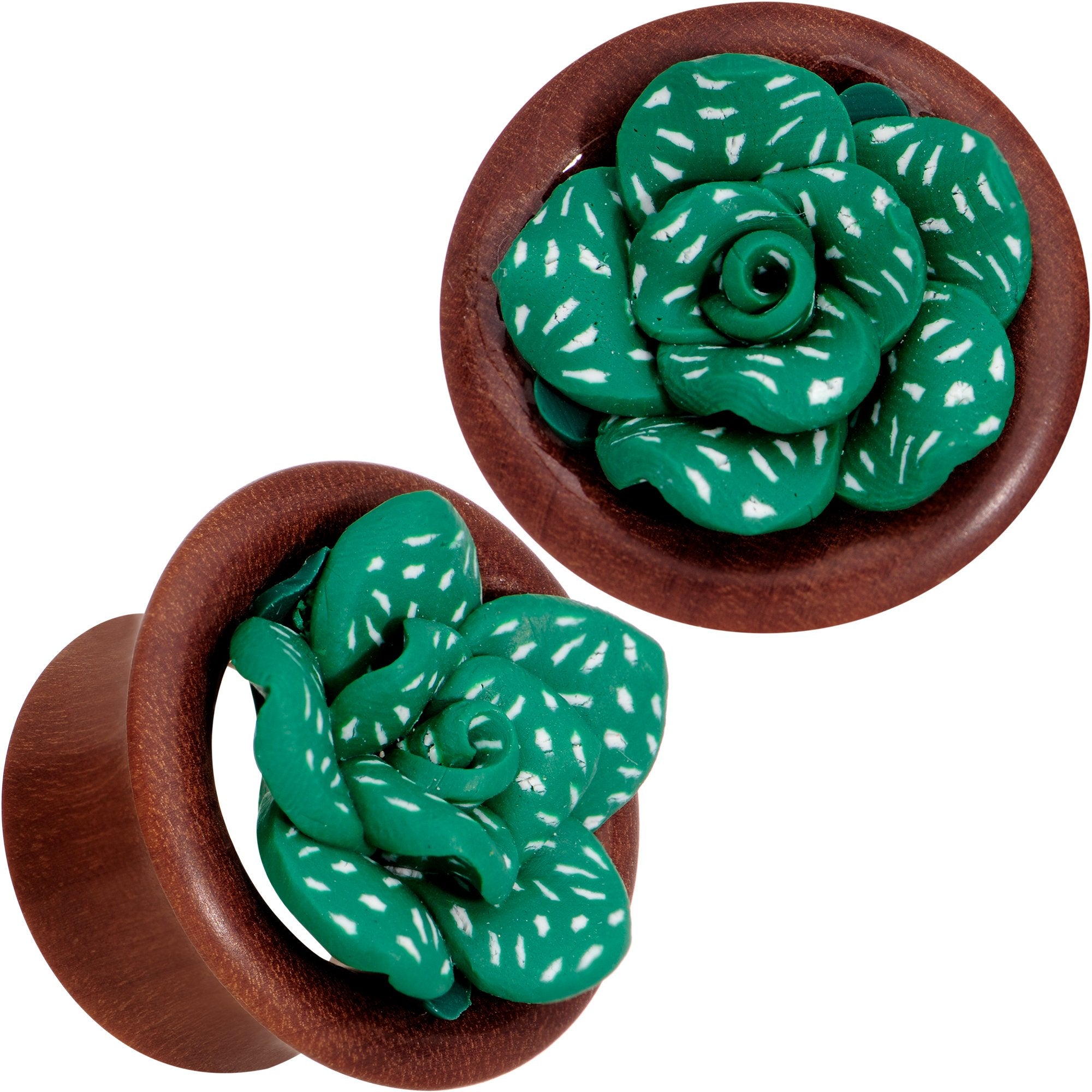 Handcrafted Rosewood Speckled Green Succulent Saddle Plug Set Sizes 14mm to 20mm