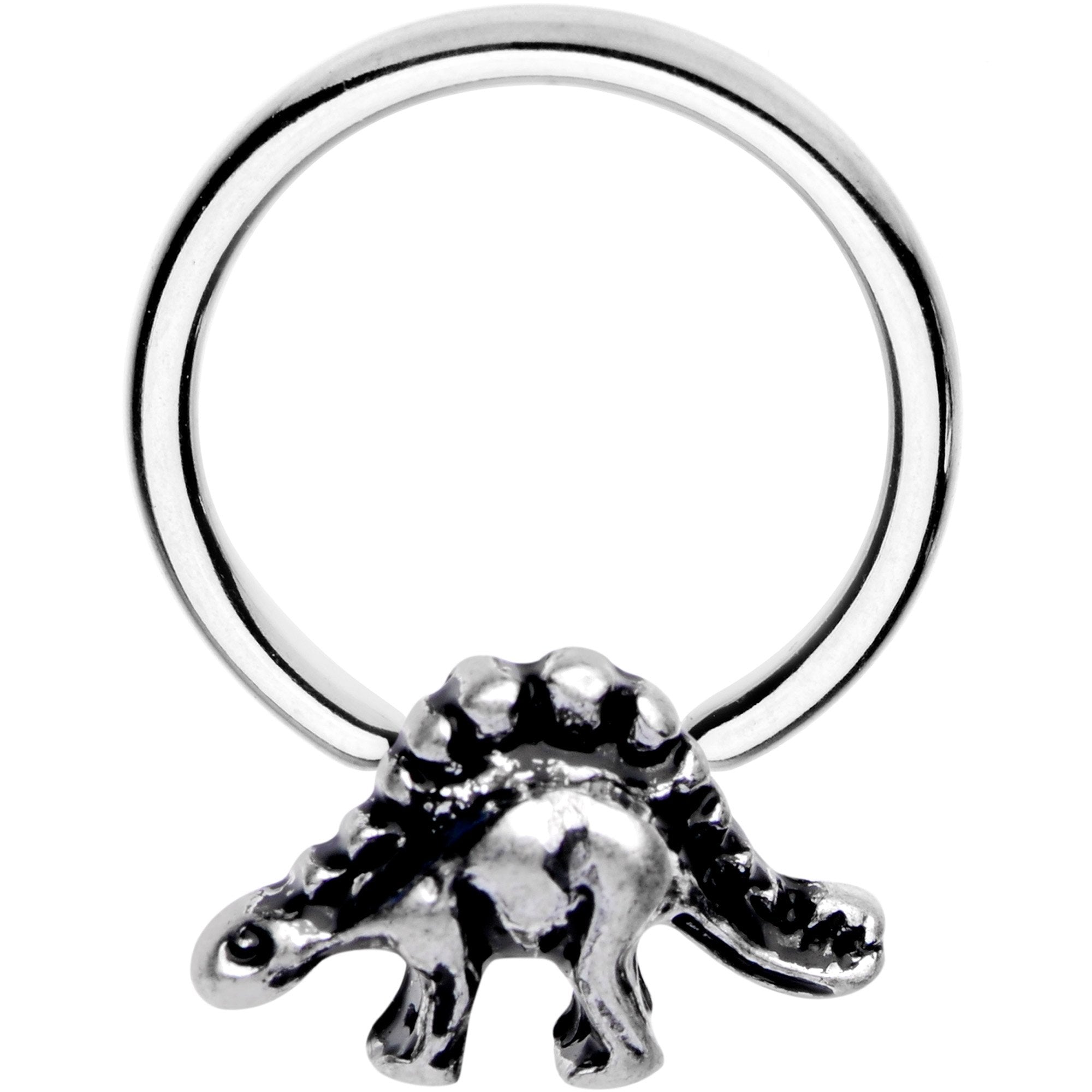 16 Gauge 3/8 Splendid Stegosaurus BCR Captive Ring