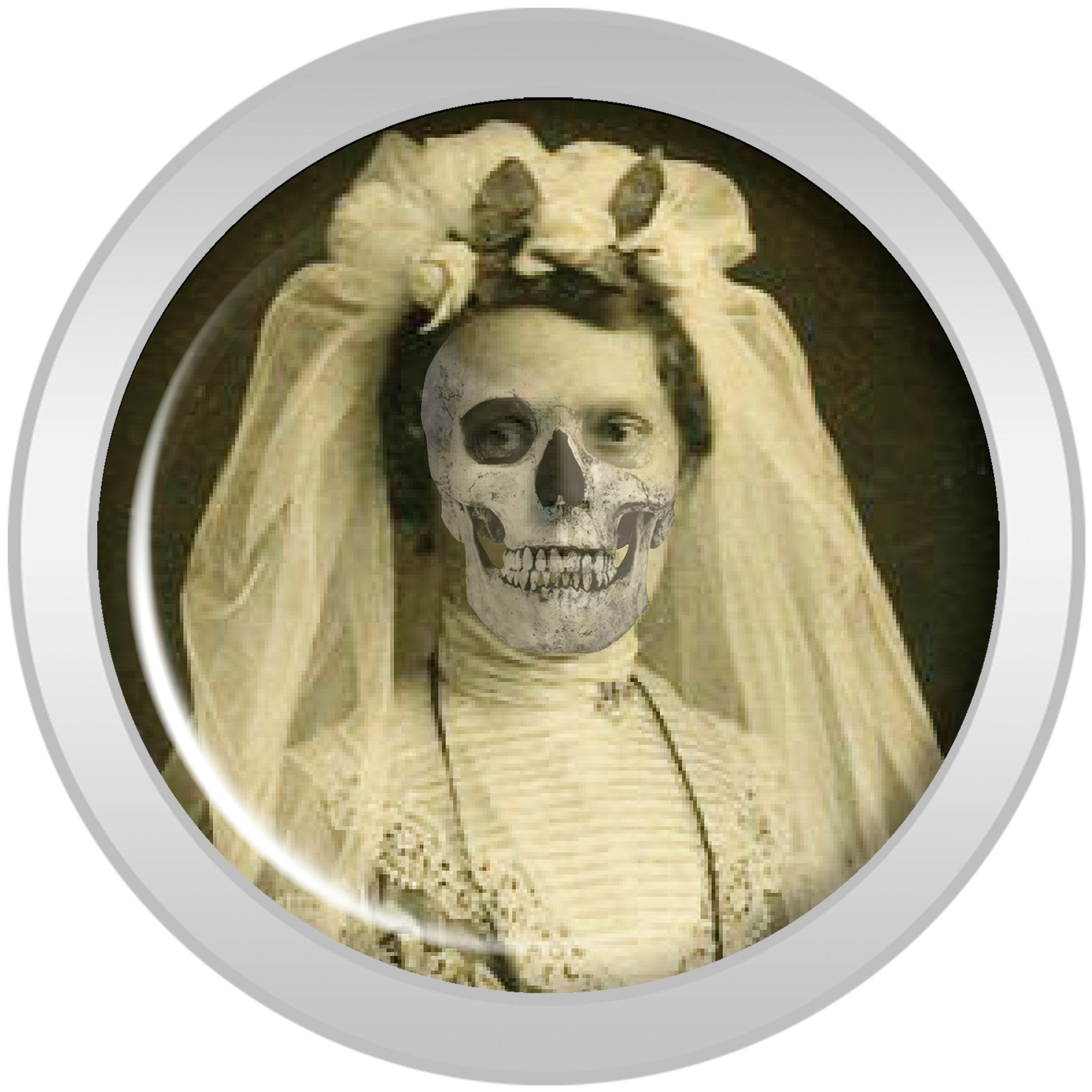 Undead Bride and Groom Halloween Plug Set 4 Gauge