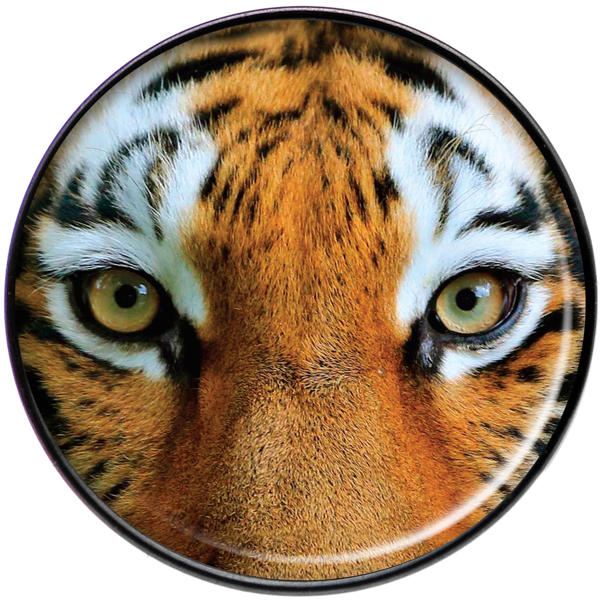 Full Color Tiger Eyes Black Barbell Tongue Ring