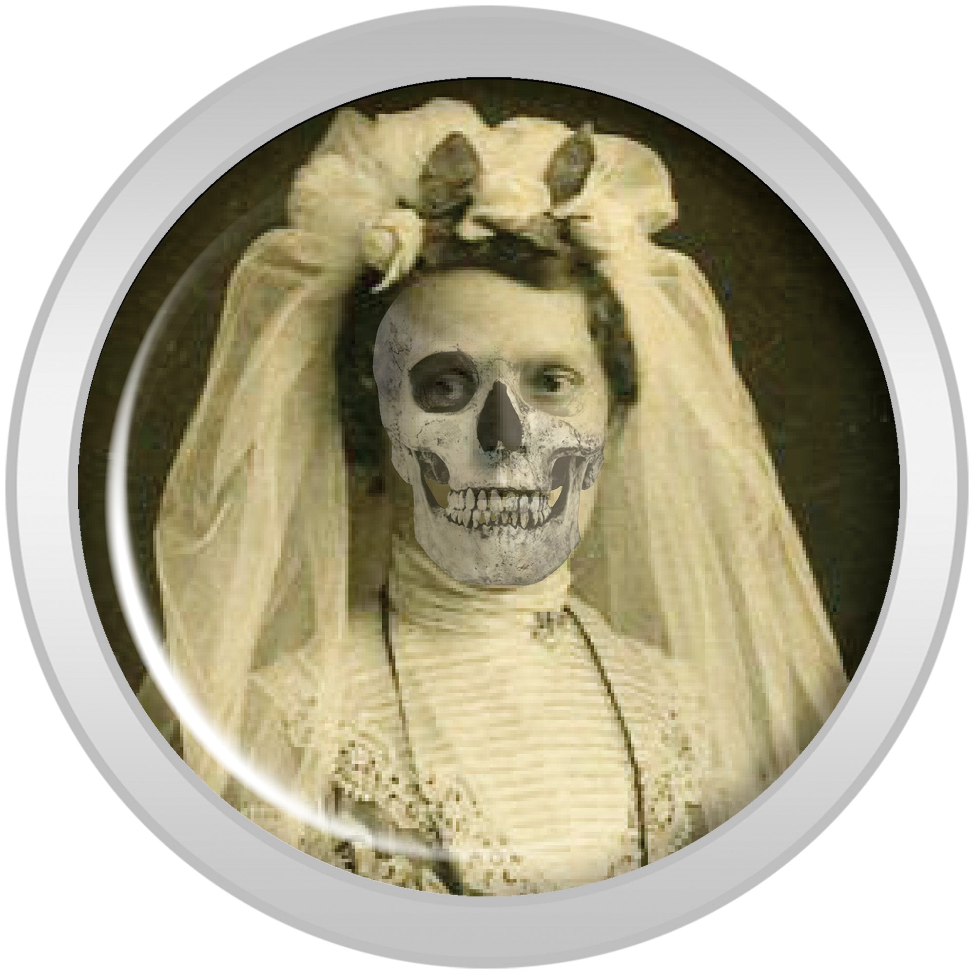 Undead Bride and Groom Halloween Plug Set 0 Gauge