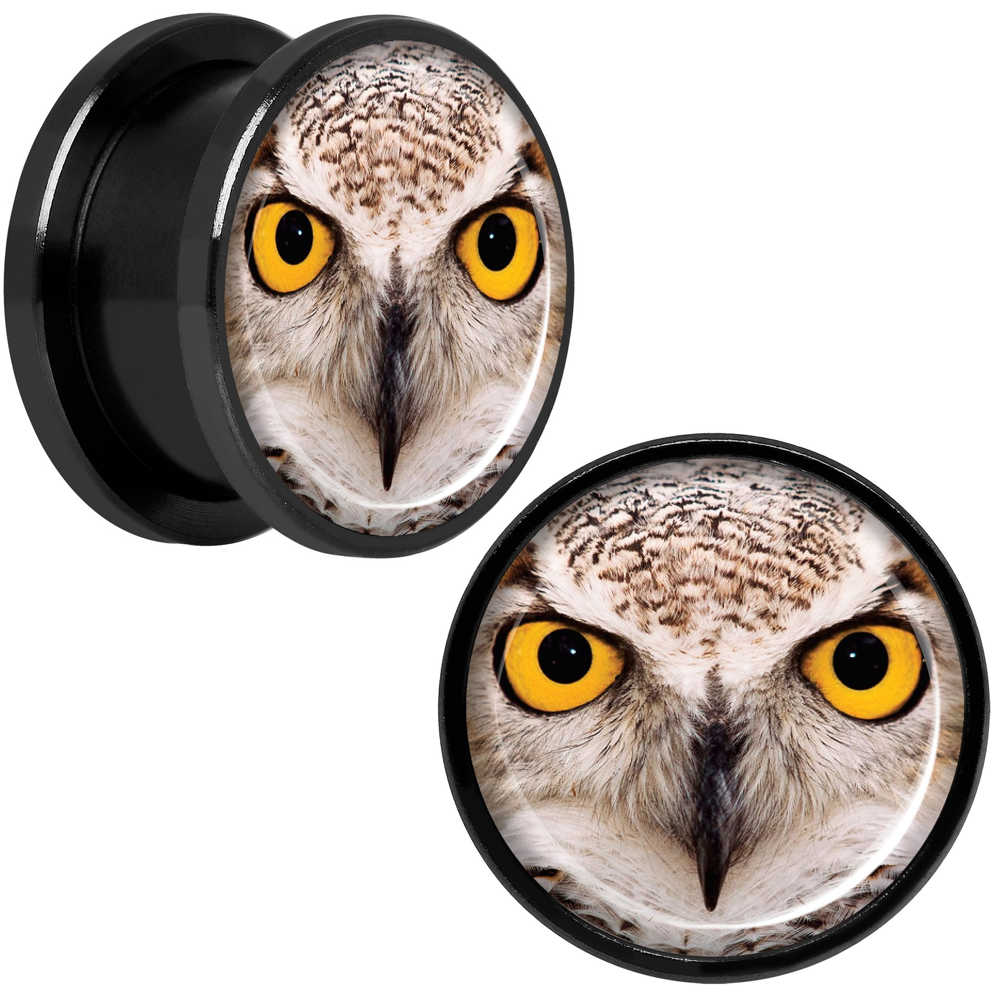 Full Color Owl Black Anodized Screw Fit Plug Set 5/8