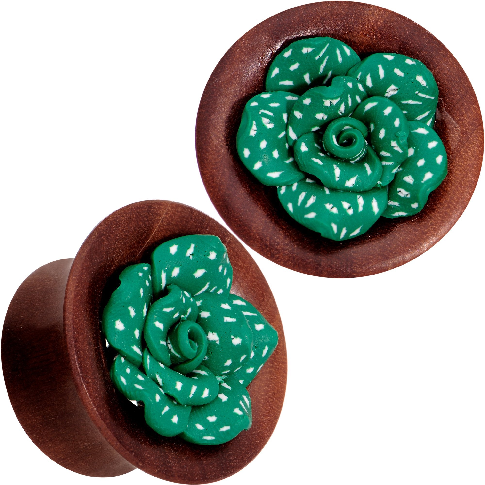 Handcrafted Rosewood Speckled Green Succulent Saddle Plug Set Sizes 14mm to 20mm