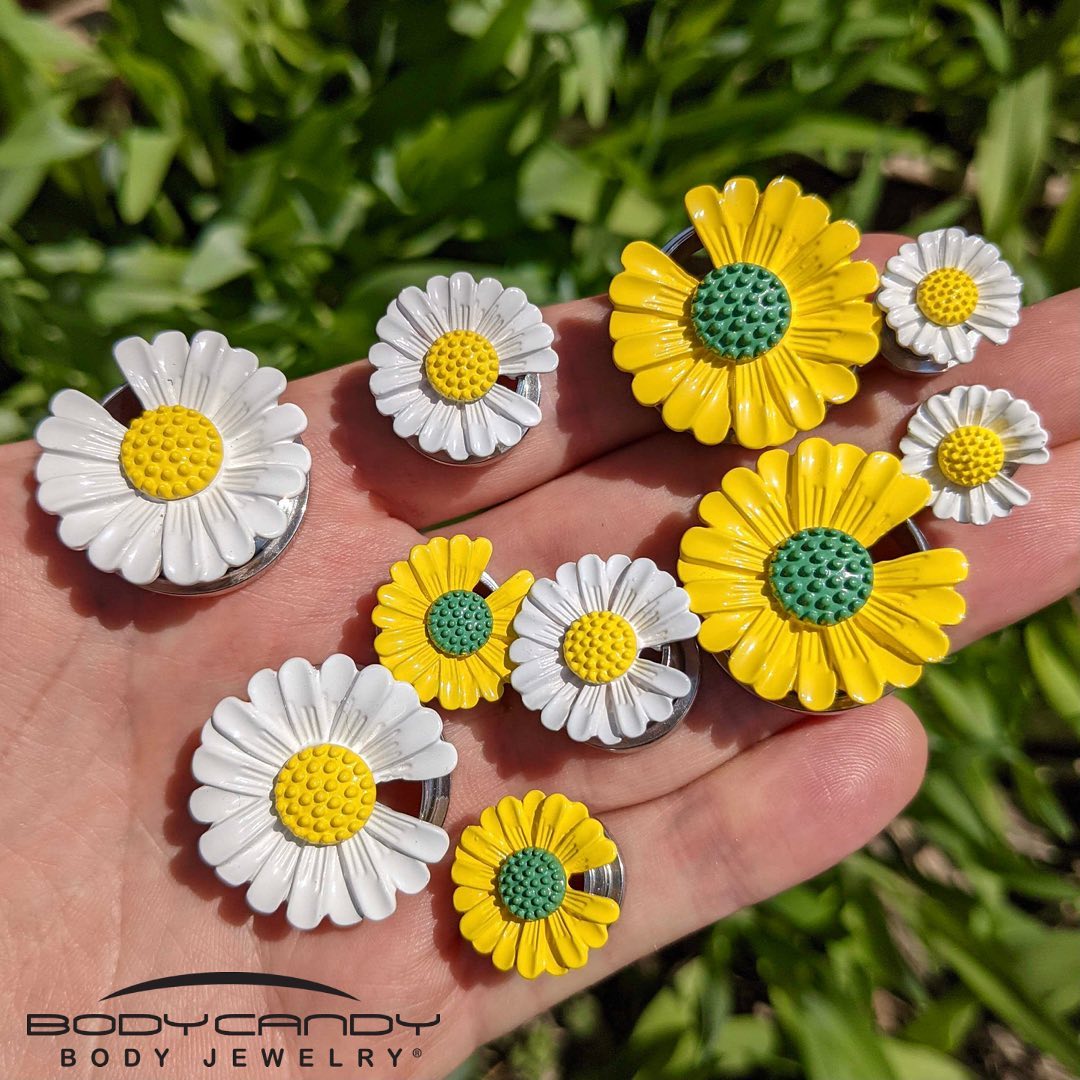 White Daisy Flower Screw Fit Plug Set