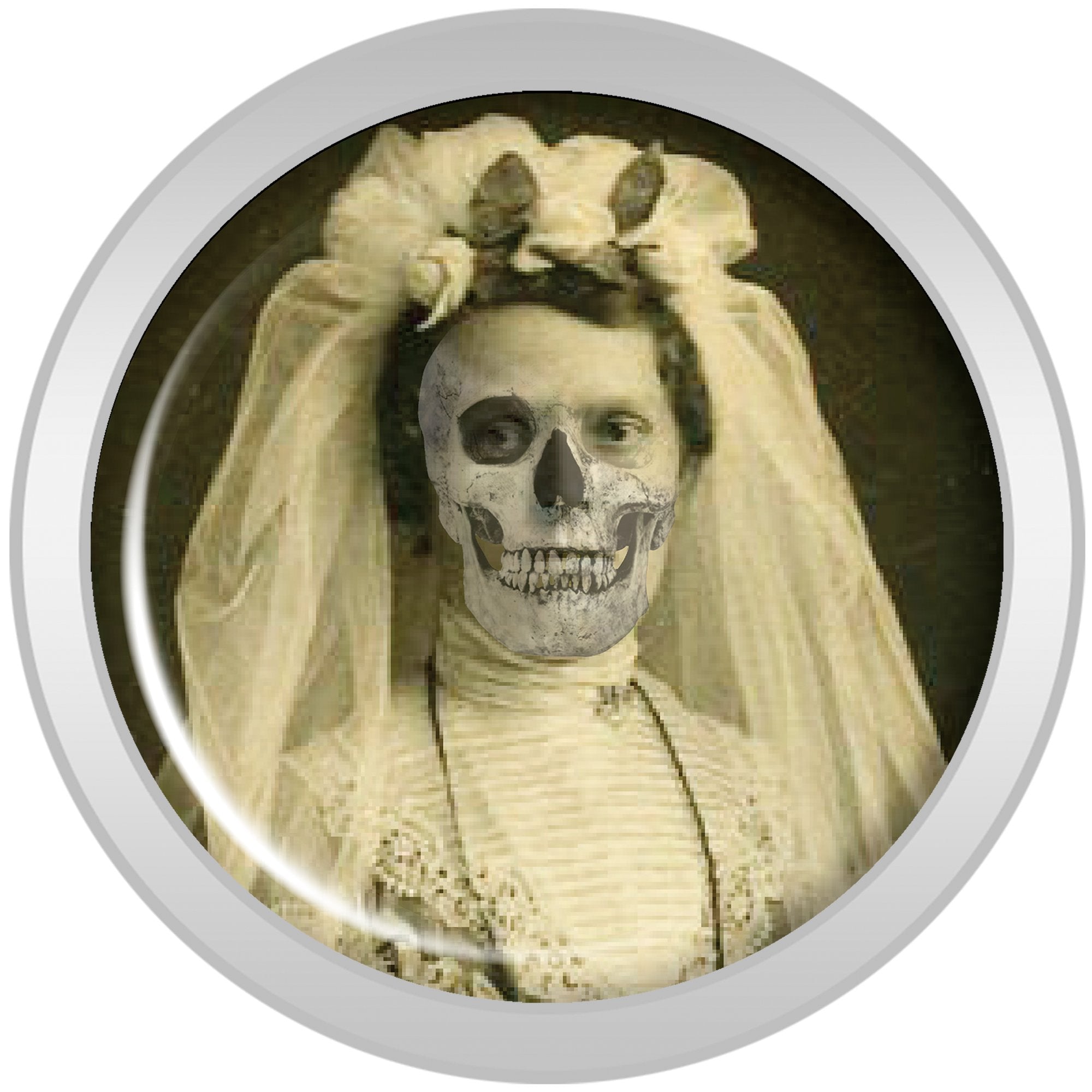 Undead Bride and Groom Halloween Plug Set 2 Gauge