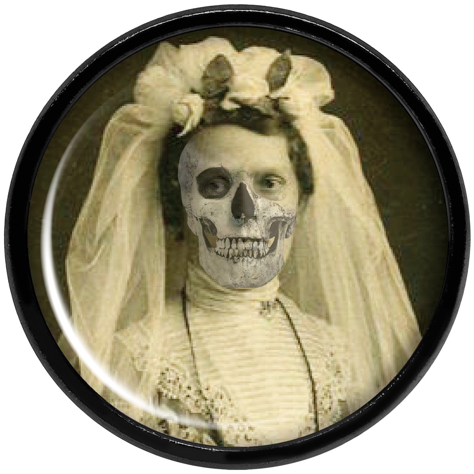 Undead Bride and Groom Halloween Black Anodized Plug Set 5/8